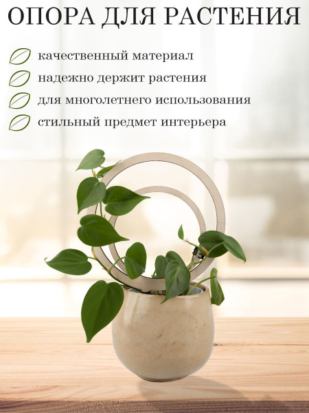 Опора для вьющихся комнатных растений и цветов - купить по выгодной ...