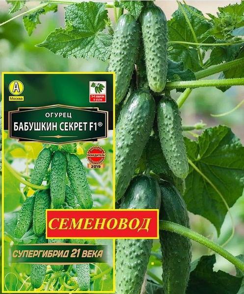 Огурцы Агрофирма Аэлита Огурец._. - купить по выгодным ценам в интернет ...