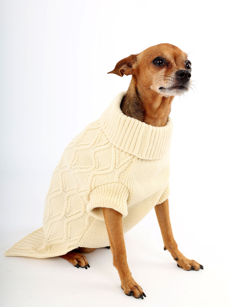 Свитер для собак и кошек, одежда для животных мелких и средних пород ...