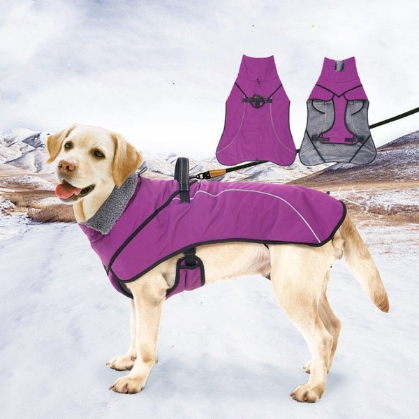 Осенне-зимняя хлопчатобумажная одежда для собак, средних и крупных ...