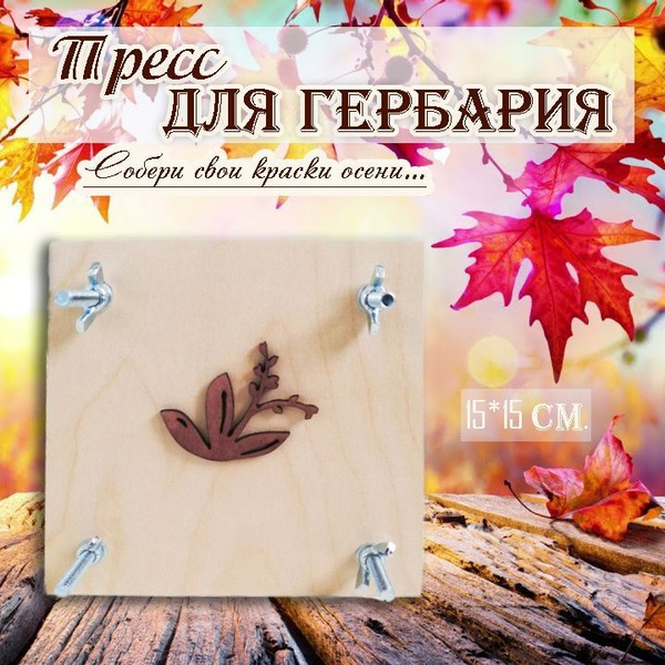 Пресс для гербария. Пресс для листьев, цветов, растений - купить с ...