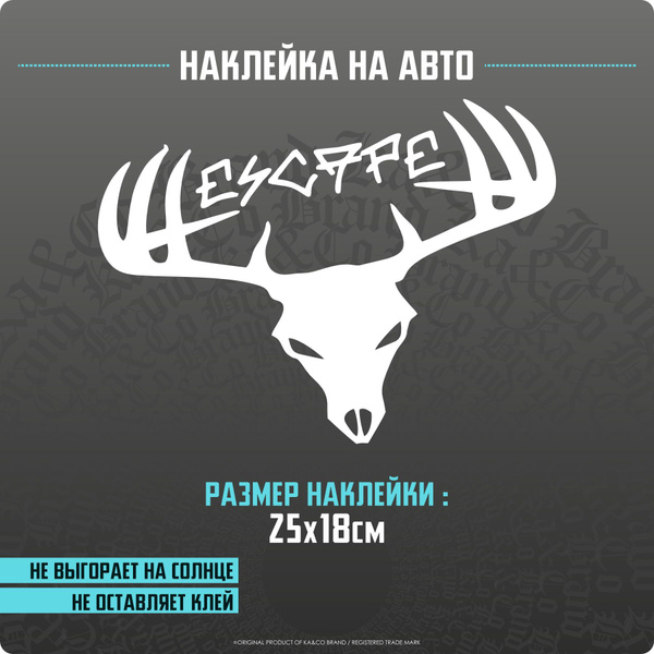 Наклейки на автомобиль ESCAPE - купить по выгодным ценам в интернет ...
