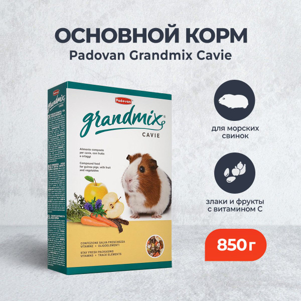 Padovan Grandmix Cavie корм для морских свинок и шиншилл - 850 г ...