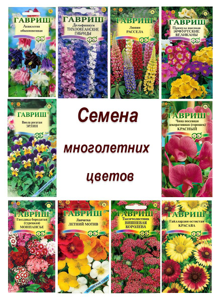 Аквилегии, Люпины многолетние Гавриш Многолетние цветы_10 - купить по ...