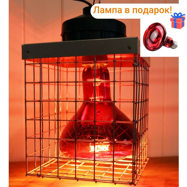 Обогреватель для курятника, цыплят с лампой 250 Вт купить на OZON по ...