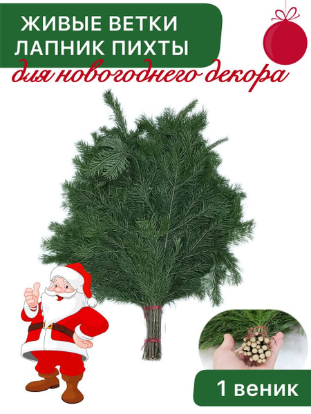 Лапник/ Живые Ветки пихты для новогоднего декора / пихта для ...