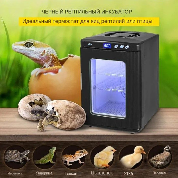 Инкубатор для рептилий;25Л - купить с доставкой по выгодным ценам в ...