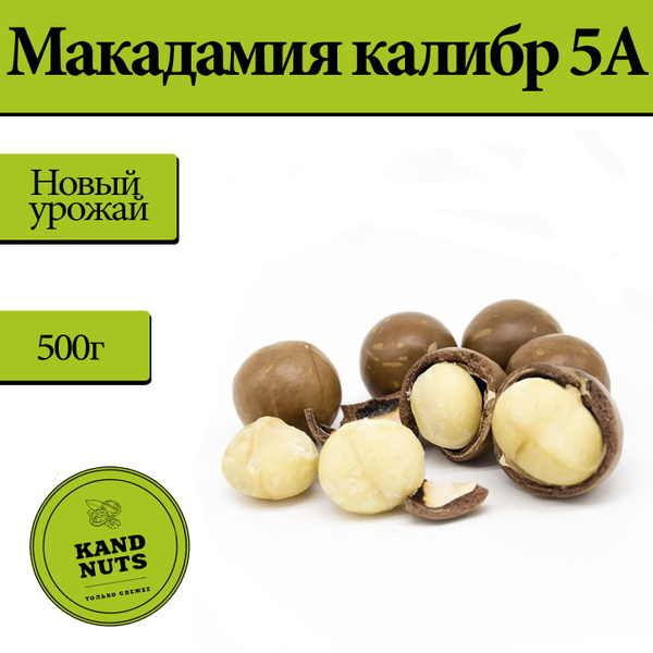 Макадамия, макадамия с ключом, в скорлупе 5а - купить с доставкой по ...