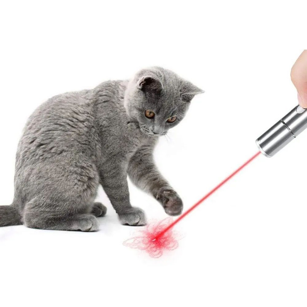 Лазерная указка/Лазер игрушка для кошки и собаки/ УФ, Фонарик с USB ...