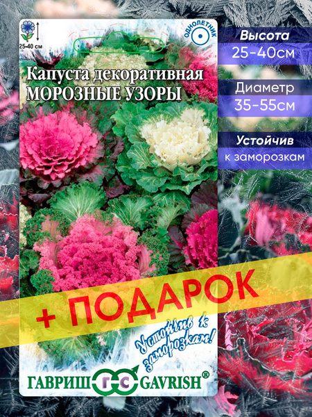 Капусты декоративные, Декоративная капуста Гавриш Цветы УкЗ - купить по ...