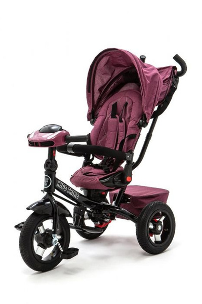 Велосипед 3-х колесный KIDS TRIKE LUX - купить с доставкой по выгодным ...