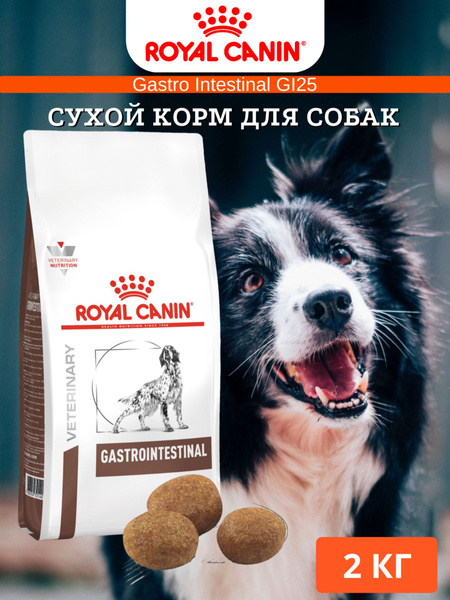 Сухой корм Royal Canin Gastro Intestinal GI25 диета для собак 2 кг ...