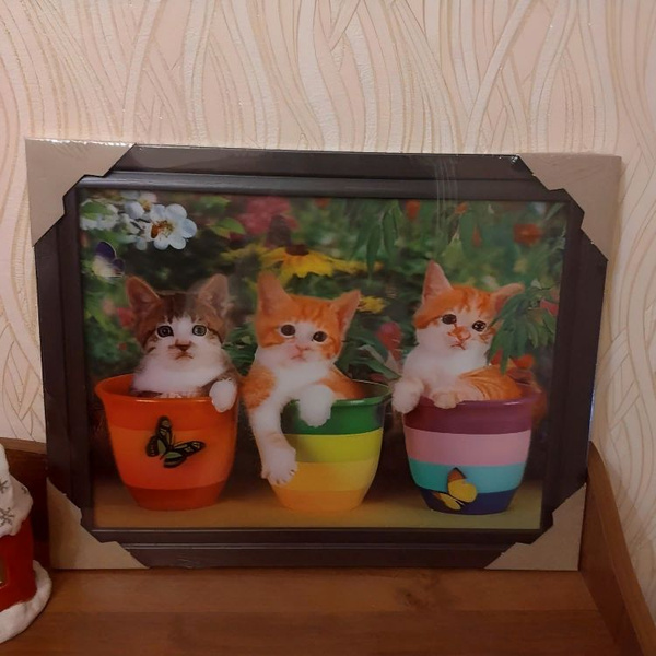 Картина 5д эффект, объёмная, живая, в рамке, на стену - купить по ...