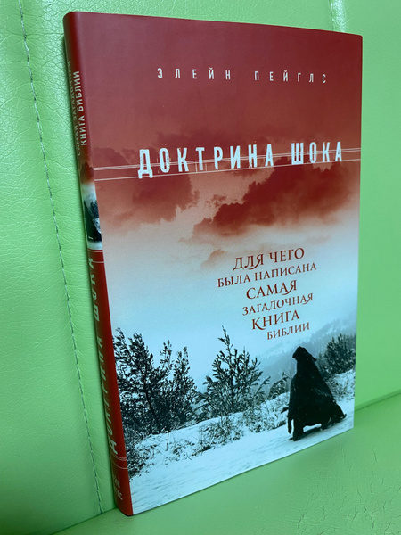 Доктрина шока книга