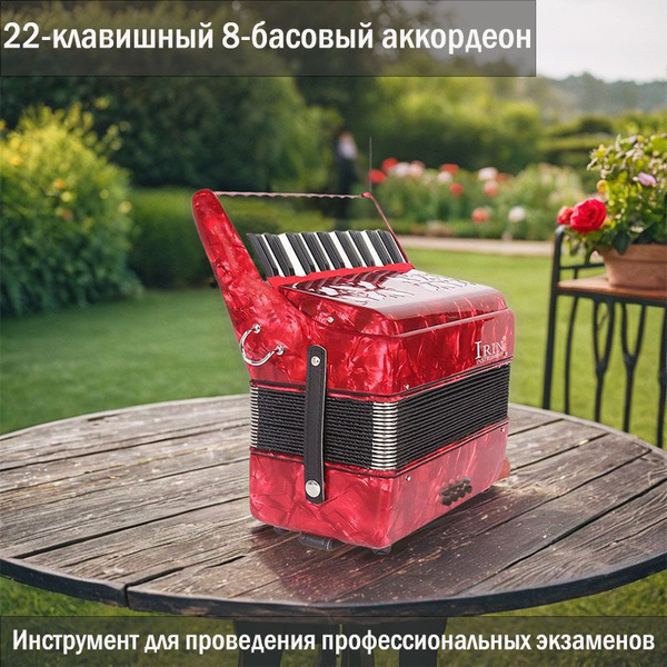 22-клавишный 8-басовый аккордеон - купить с доставкой по выгодным ценам ...