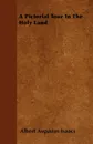 A Pictorial Tour In The Holy Land - Albert Augustus Isaacs