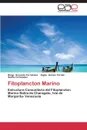 Fitoplancton Marino - Acevedo Fernández Diego, Gómez Fermín Eglee, Fernández Sacha