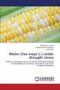 Maize (Zea Mays L.) Under Drought Stress - Aslam Muhammad, Maqbool Muhammad Amir, Bano Saira