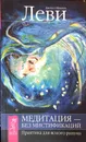 Медитация - без мистификации. Практика для ясного разума - Джоэл и Мишель Леви