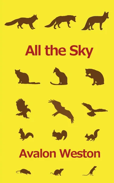 Обложка книги All the Sky, Avalon Weston
