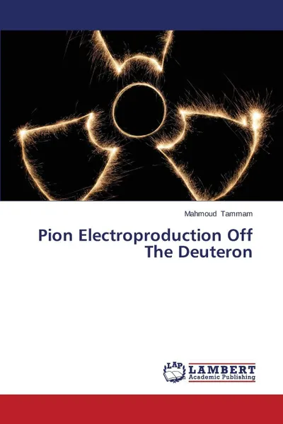 Обложка книги Pion Electroproduction Off The Deuteron, Tammam Mahmoud