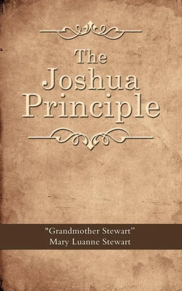 Обложка книги The Joshua Principle, Mary Luanne Stewart