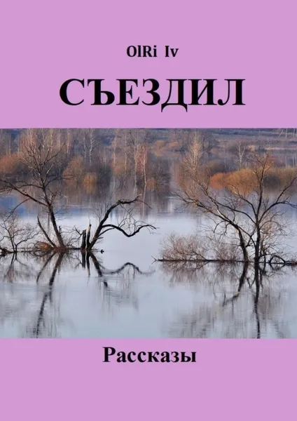 Обложка книги Съездил, OlRi Iv