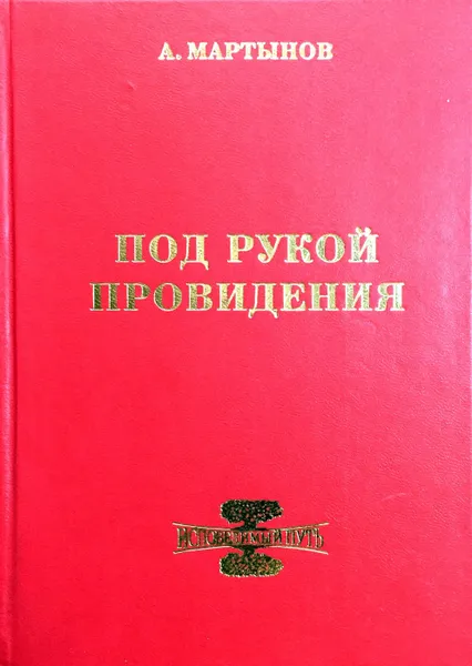 Обложка книги Под рукой провидения, А.В. Мартынов