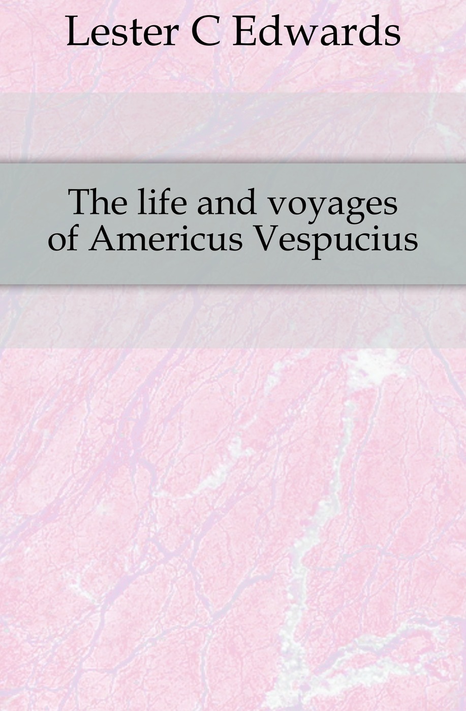 The life and voyages of Americus Vespucius