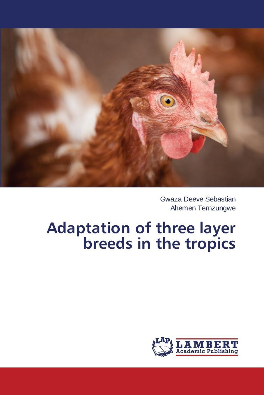 фото Adaptation of three layer breeds in the tropics