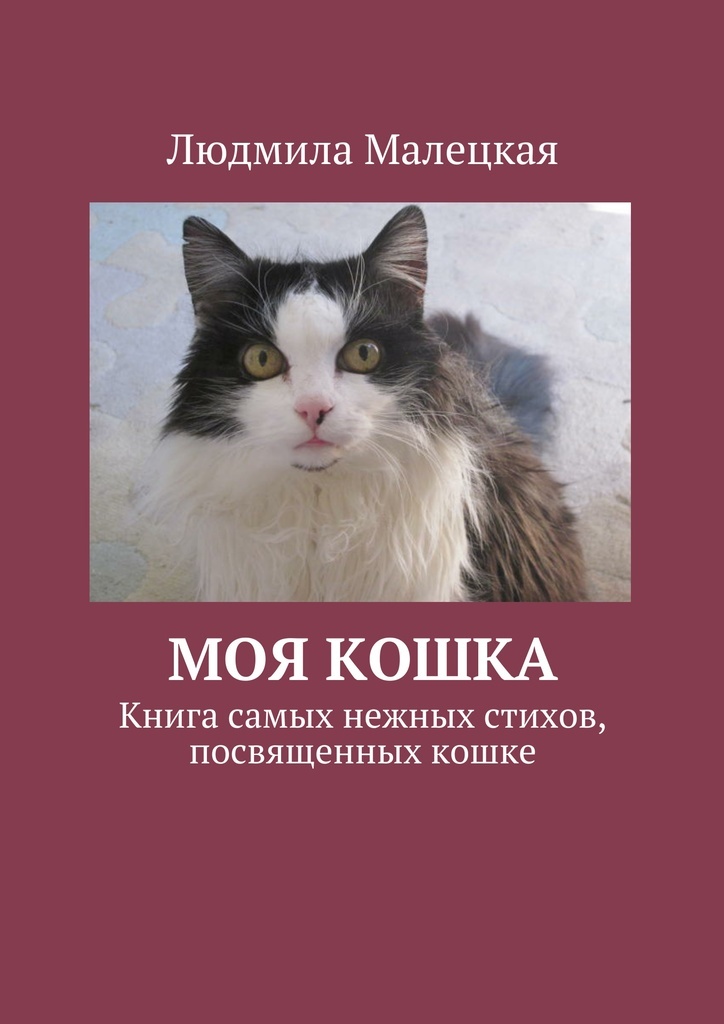 Мир кошек книга. Моя кошка книга. Стихи кошачьей книги. Стих про кошку книга. Литература посвященная кошкам.