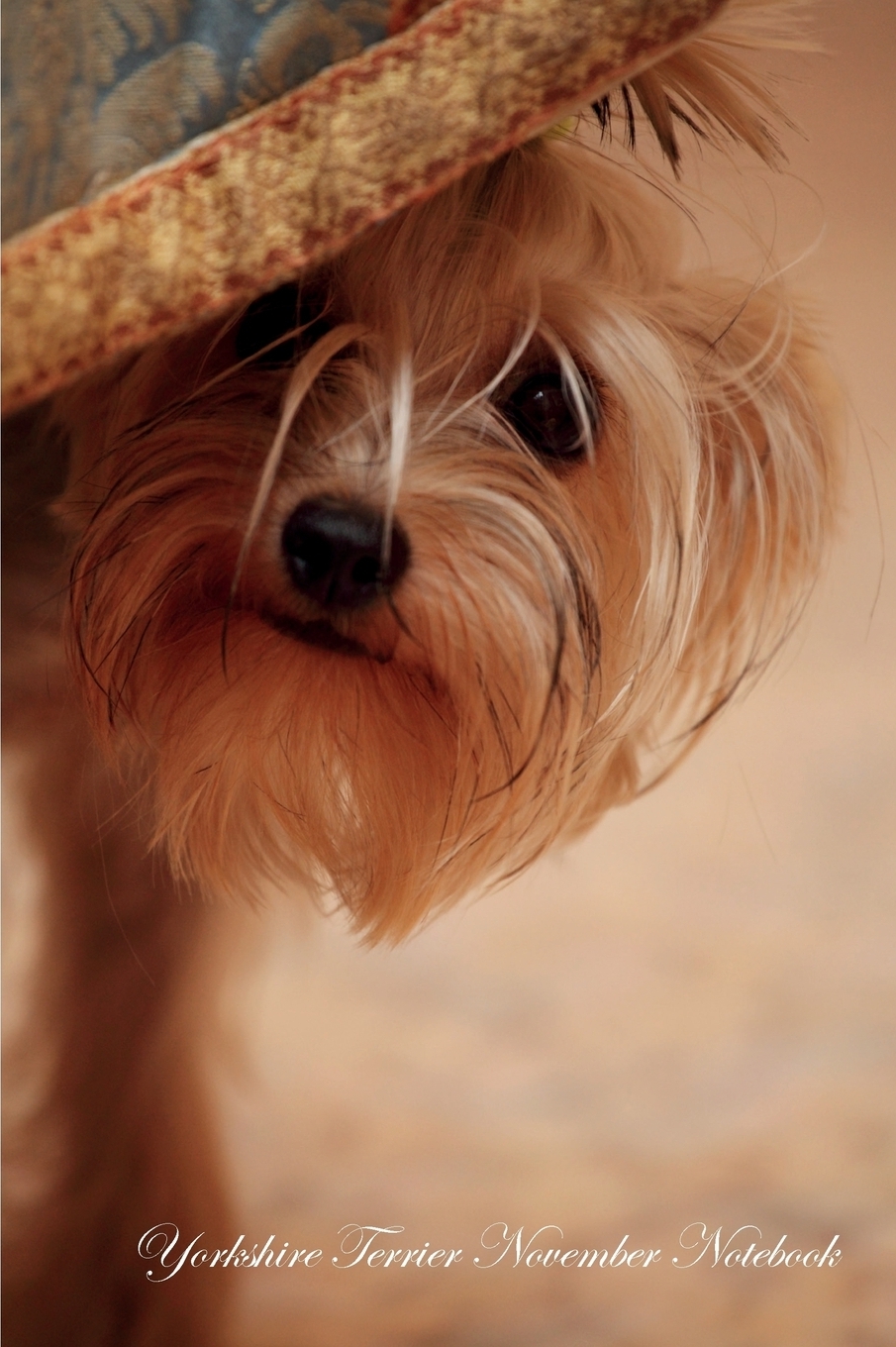 Yorkshire Terrier November Notebook Yorkshire Terrier Record, Log, Diary, Special Memories, To Do List, Academic Notepad, Scrapbook & More. Yorkie World Yorkshire Terrier November Notebook Yorkshire Terrier Record, Log, Diary, Special Memories, To Do List, Academic Notepad, Scrapbook & More. Yorkie World