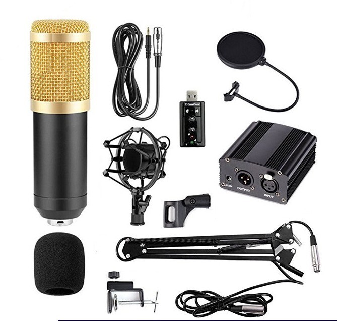 Микрофон Студийный BM 800 с фантомным питанием — купить в интернет ...