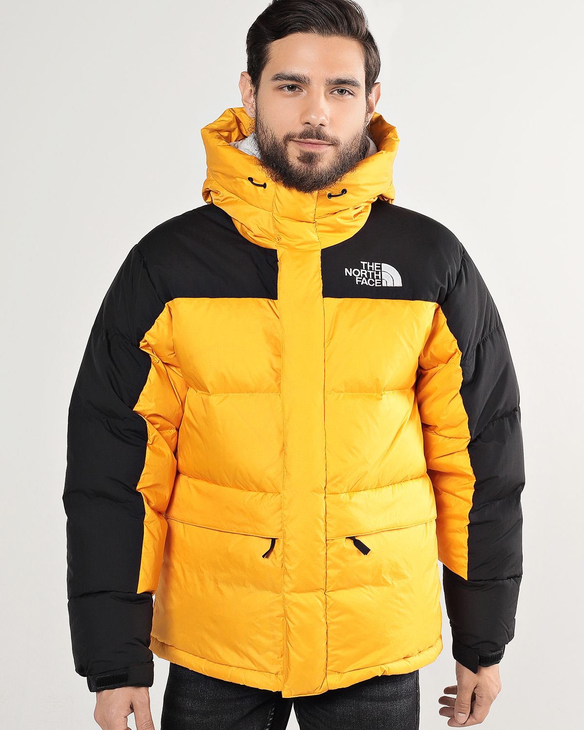 north face hyvent down parka