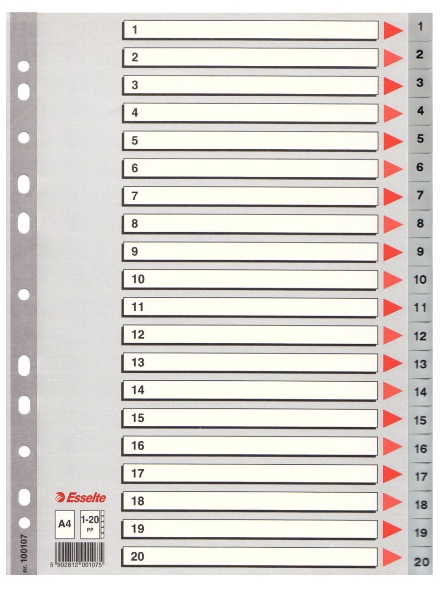 Esselte разделитель пластиковый а4, 1-12