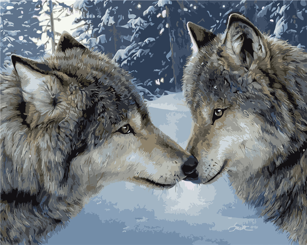 фото любви волков