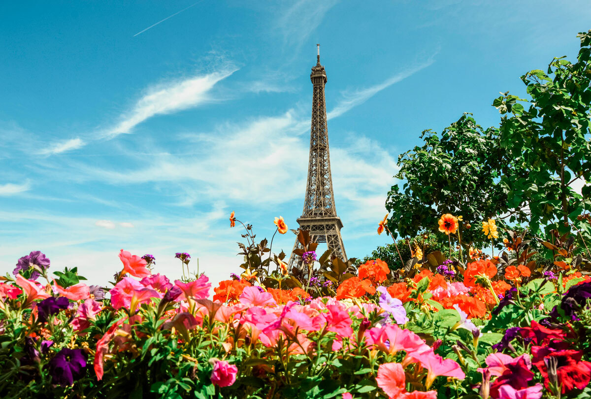 Paris 400. Париж цветовая палитра. Все цветы Парижа. Париж цветы Астрахань. Париж цветы обои.