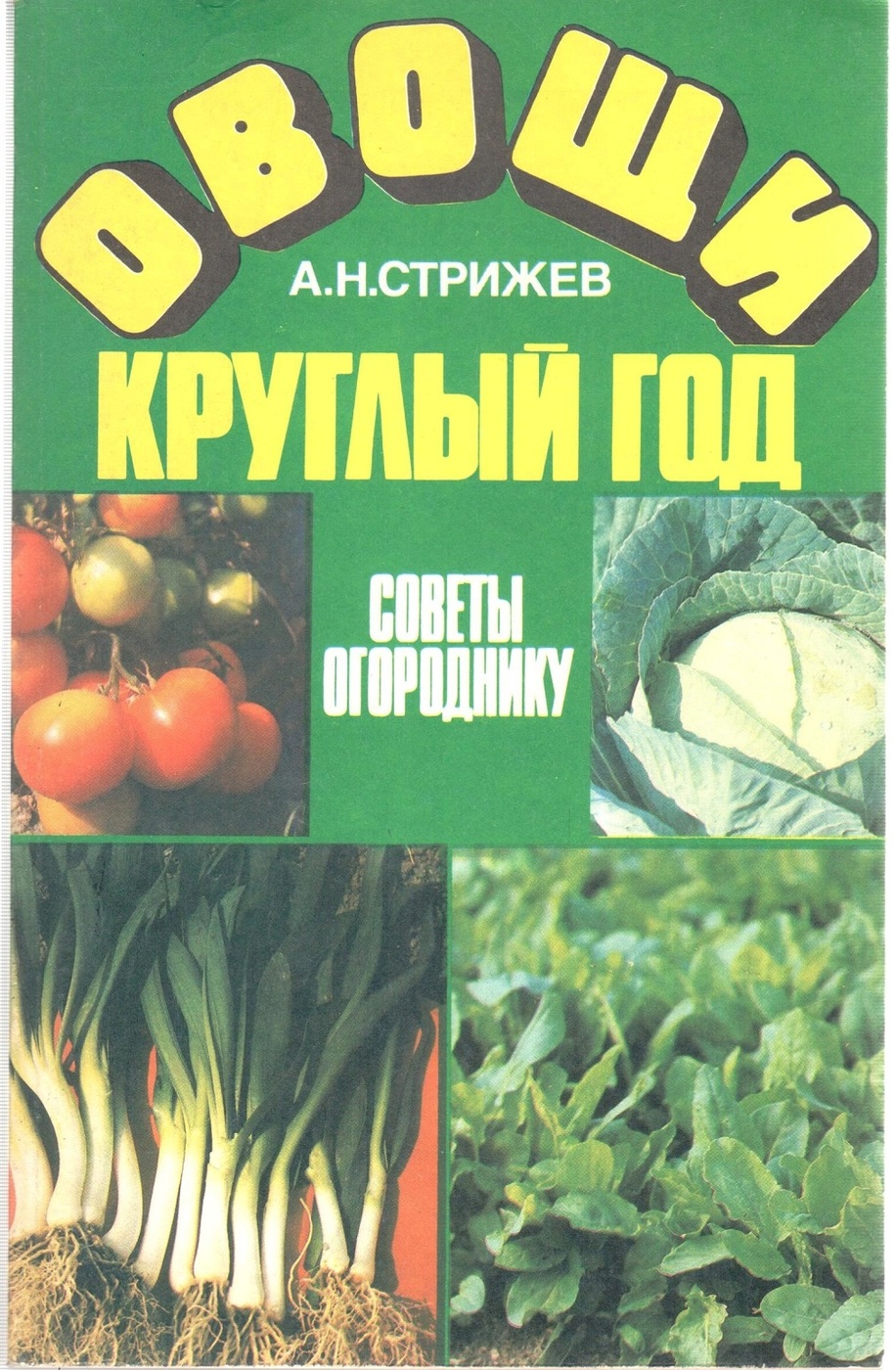 Овощи круглый год. Книга овощи. Овощные растения. Огород круглый год книга. Овощи для обложки книги.