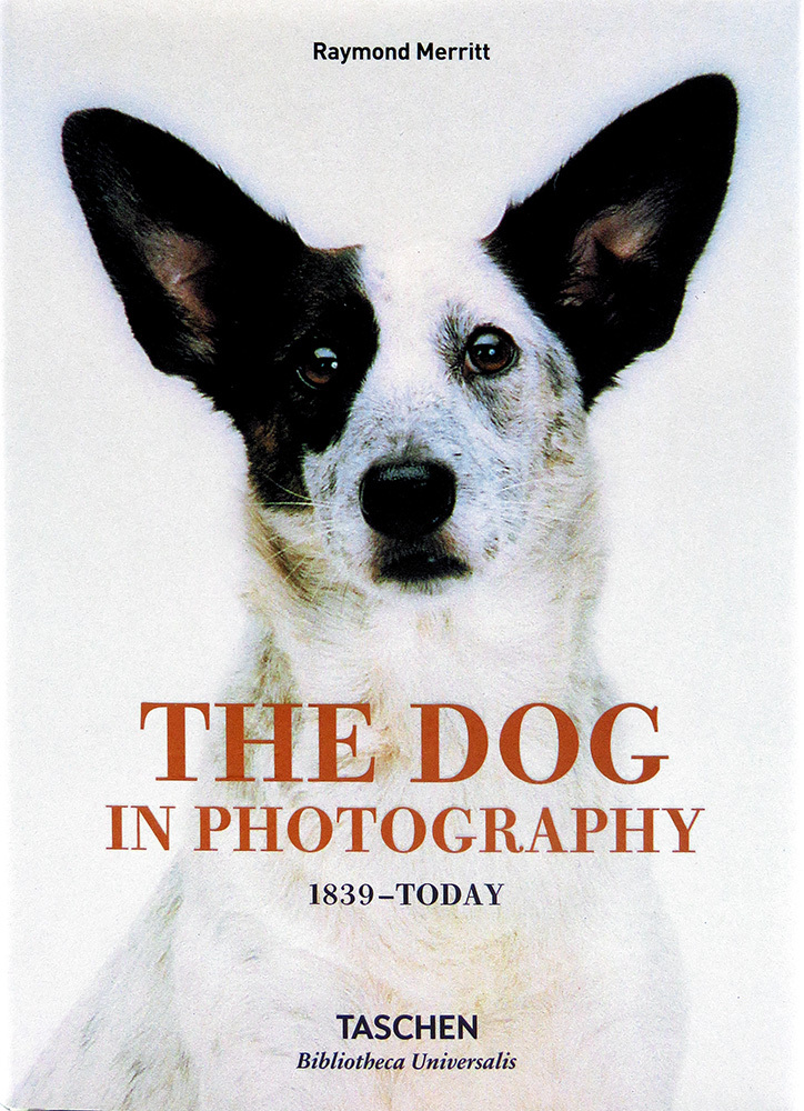 The Dog in Photography 1839 -Today | Merritt Raymond