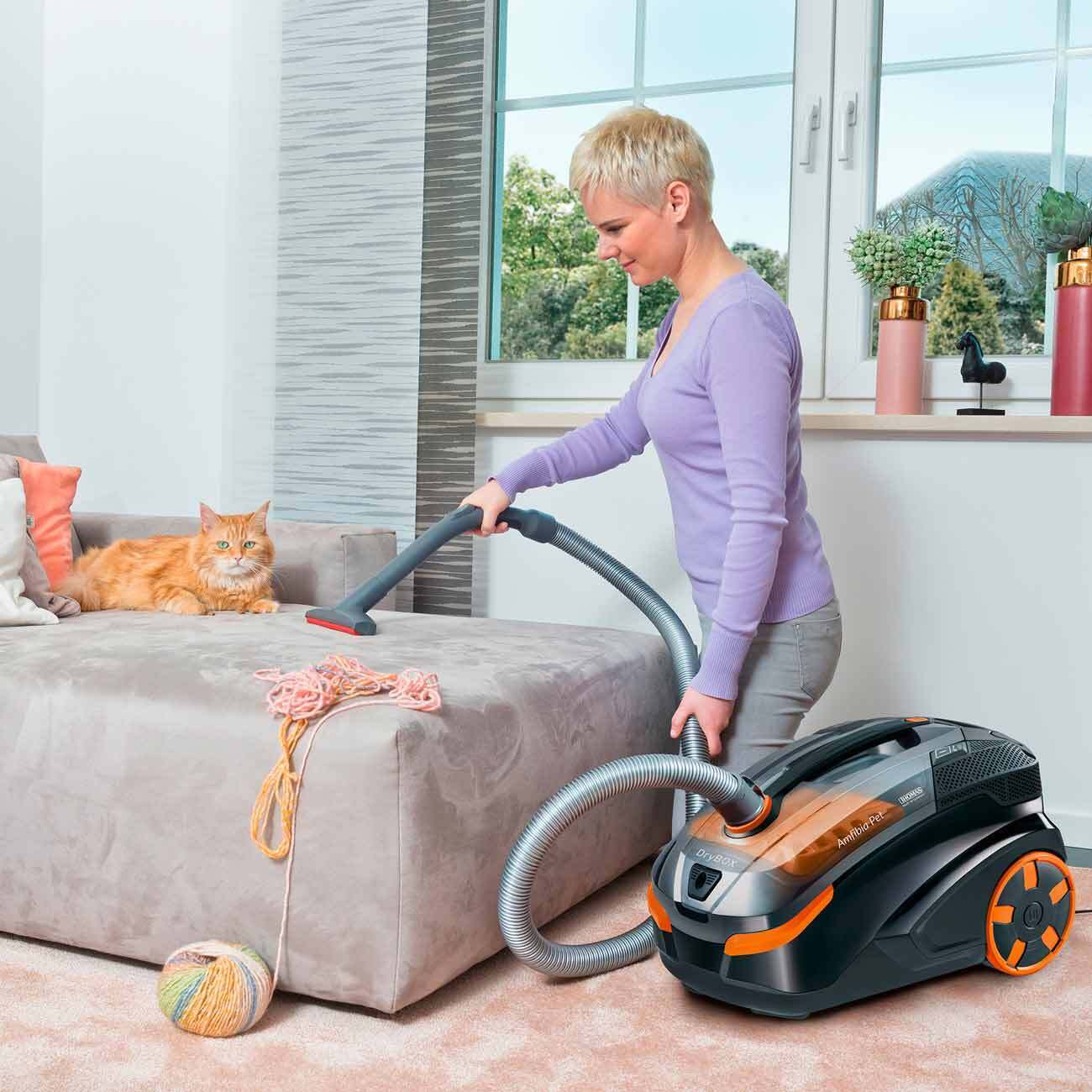 Thomas 788598 drybox amfibia. Моющий пылесос thomas drybox amfibia. Thomas drybox amfibia черный. Томас 788598 drybox amfibia pet. Пылесос thomas drybox amfibia pet.