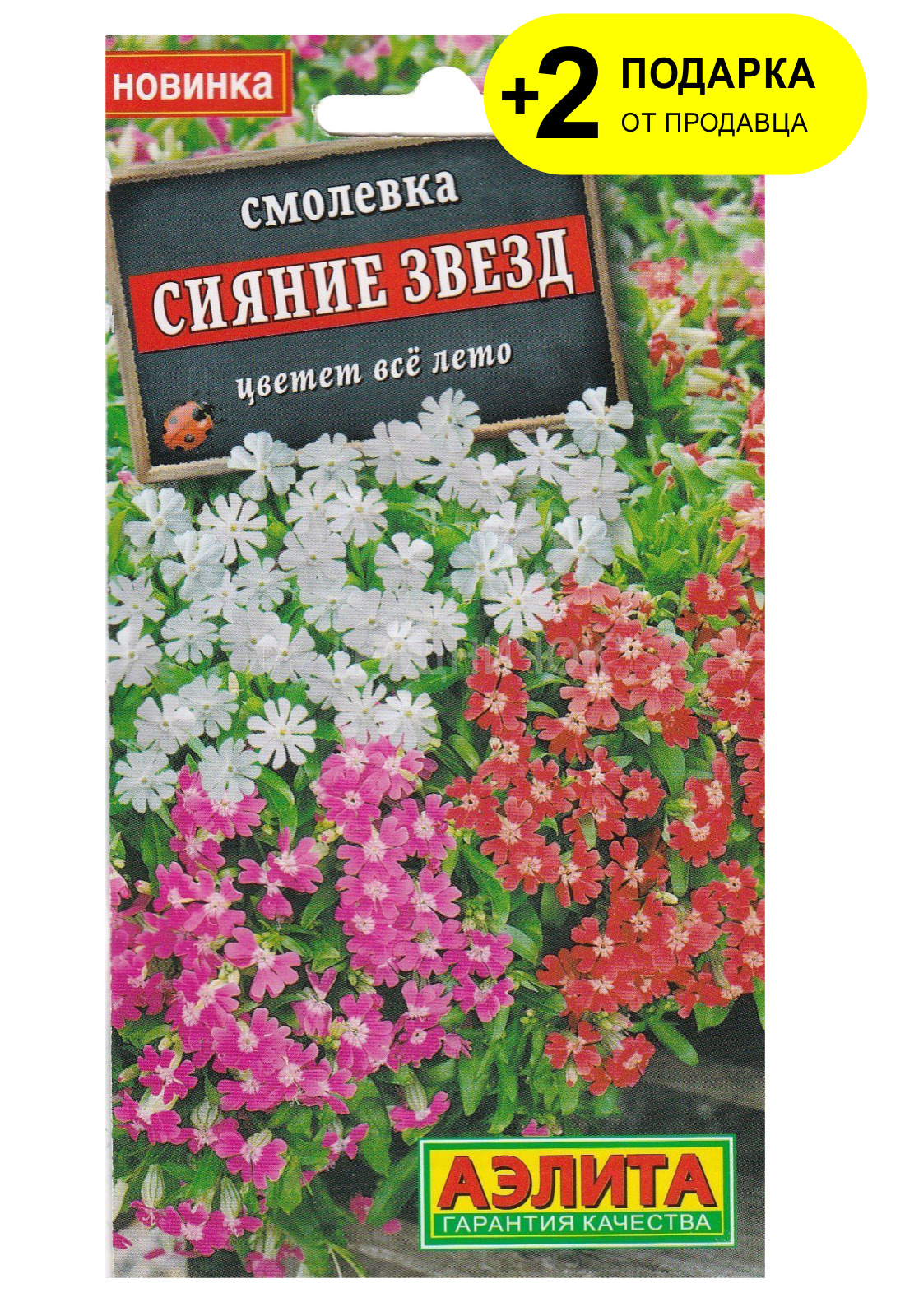 Смолевка сияние звезд фото