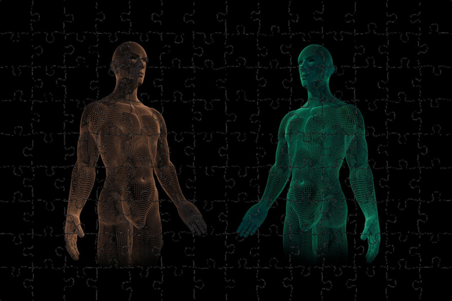 Ems оборудование. Емс тренировки. Ems x body. Прозрачное тело человека. Емс тренировки.