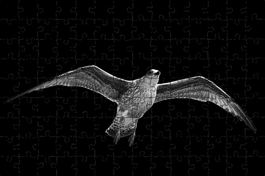 Комикс мем: "я гей" - Комиксы - Meme-arsenal.com