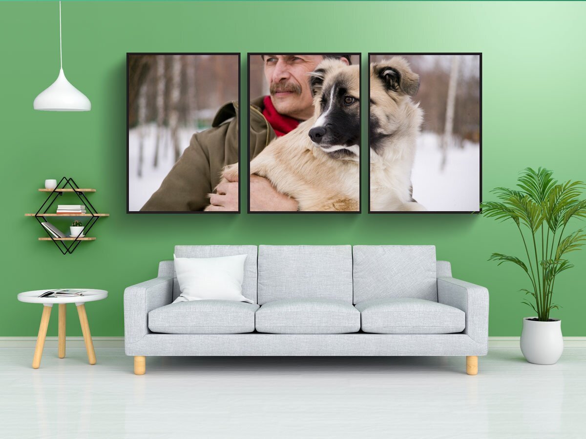 Постер собаки. Постеры с собаками. Плакаты с собаками. Импостер собака.