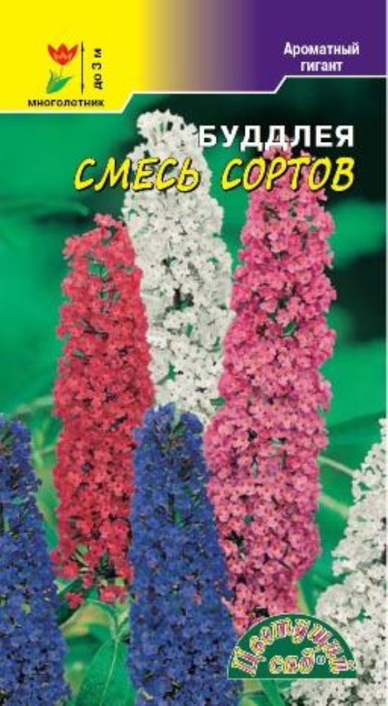 Смесь сортов. Семена Буддлея Давида смесь окрасок. Цветы Буддлея смесь сортов. Будлея смесь сортов 0,02 г. Буддлея цветы семена.