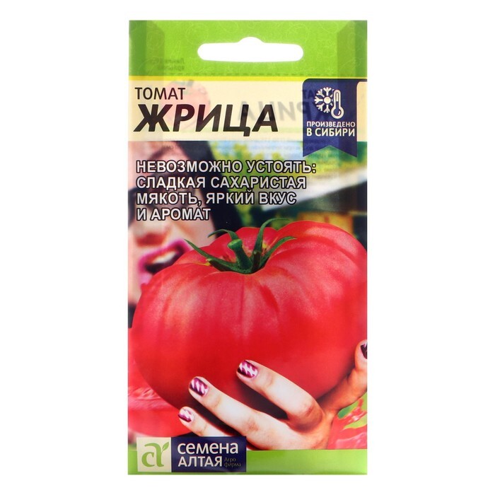 томат настенька семена алтая. томат мамонтенок семена алтая. томат жрица семена алтая. томат жрица семена алтая. (семена алтая).