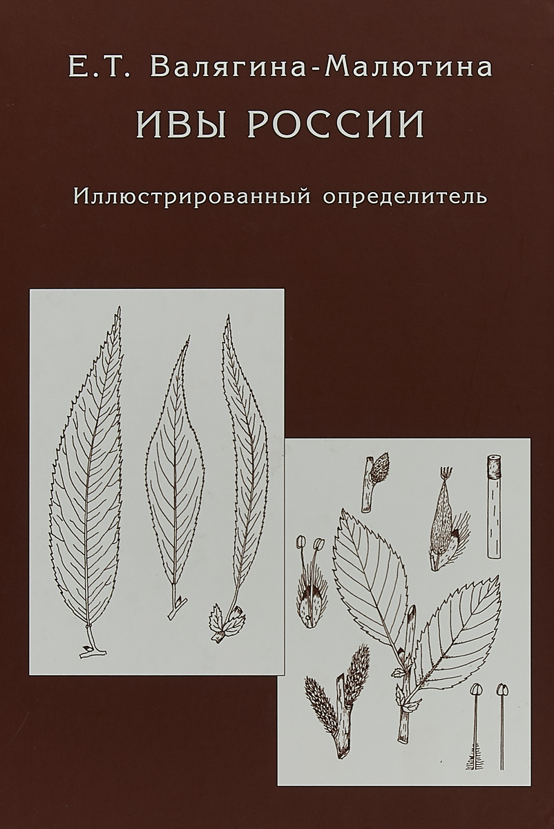 Ивы России. Иллюстрированный определитель | Валягина-Малютина Евгения Тимофеевна