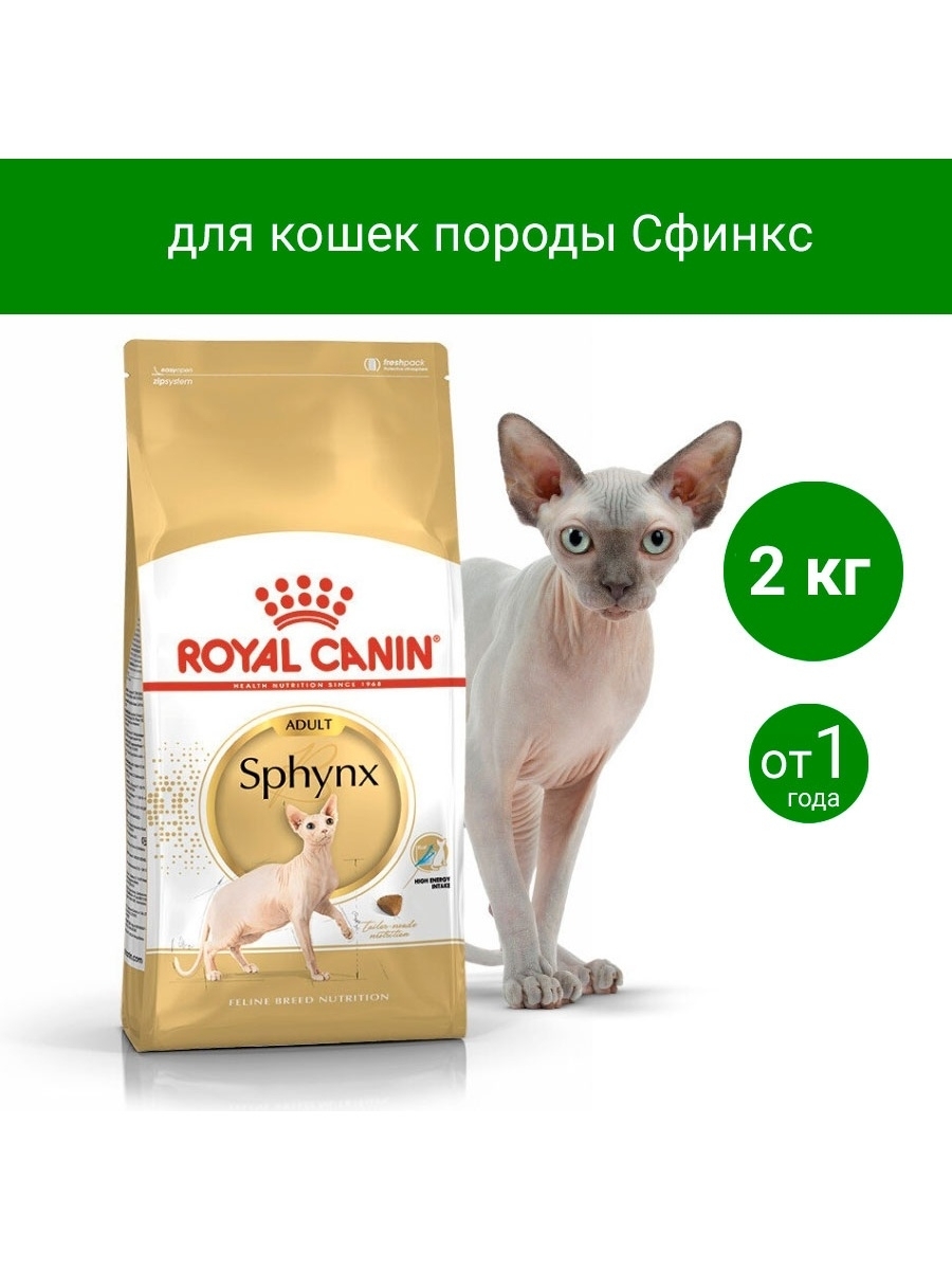 Лучший сухой корм для сфинксов. Роял канин киттен сфинкс. корм роял канин сфинкс 2 кг. роял канин для сфинксов 10. корм сухой для кошек royal canin sphynx сфинкс для котят.