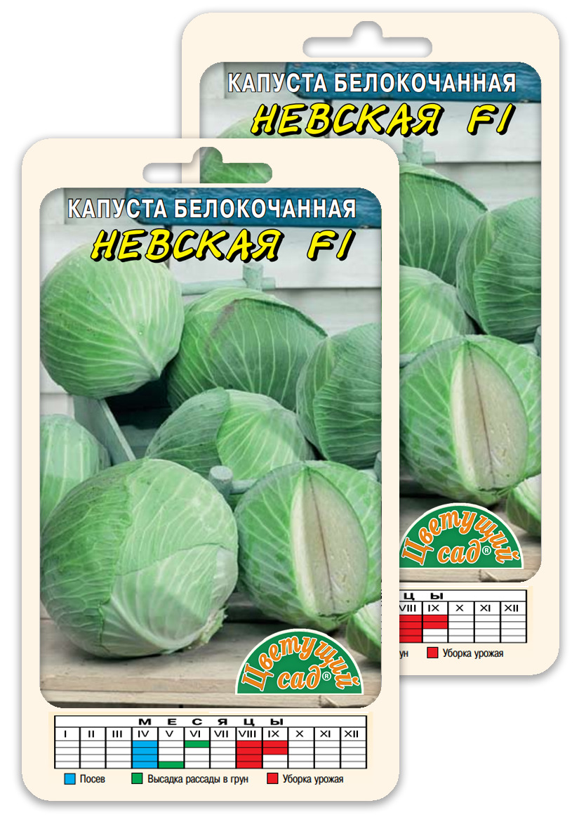 Капуста ассорти. Корейские салаты ассорти. Овощное ассорти на зиму. Капуста ассорти по японски рецепт лента. Капуста квашеная 500г.