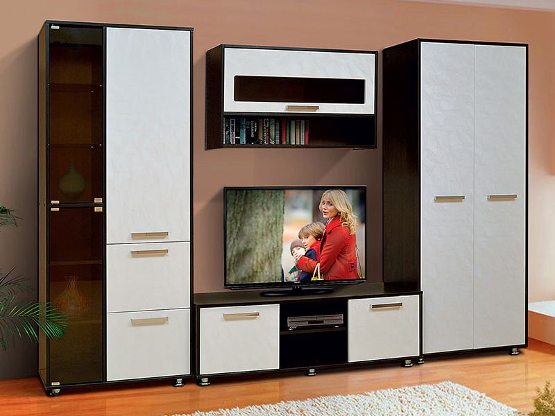 Гостиная мебель в современном стиле со шкафом для одежды